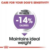 royal-ccn-mini-sterilised-8kg-wiek-zwierzecia-psy-dorosle
