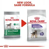 royal-ccn-mini-sterilised-8kg-waga-produktu-wiecej-niz-5-kg-do-10-kg