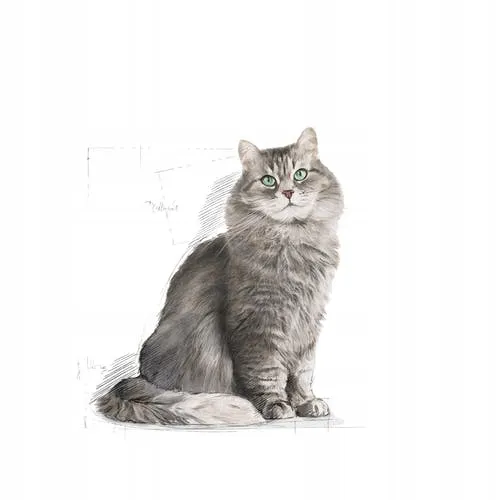 royal-cat-sensible-33-400g-marka-royal-canin