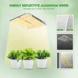 marshydro-led-ts-1000-150w