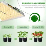 marshydro-led-ts-1000-150w