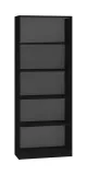 regal-r60-czern