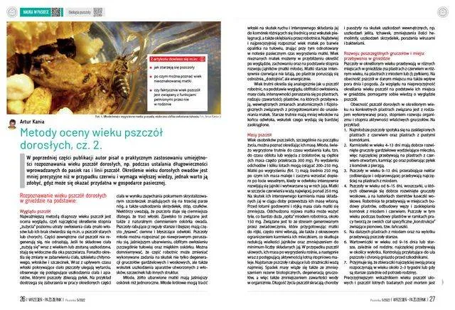 pasieka-nr-5-2022-pas115-kod-produktu-pas115