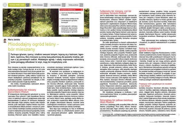 pasieka-nr-5-2022-pas115-stan-nowy-kod-produktu-pas115