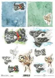 papier-ryzowy-psy-itd
