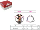 termostat-nissan-eps