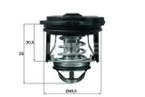 termostat-ford-behr-stan-nowy