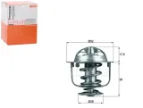 termostat-behr