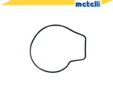 pompa-wodna-wody-metelli-producent-czesci-metelli