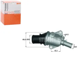 termostat-behr