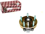 piasta-kola-ashika