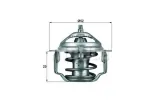 termostat-suzuki-behr-stan-nowy