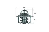 termostat-ford-behr-stan-nowy