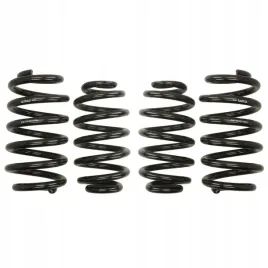 sprezyny-eibach-pro-kit-audi-a4-8e-b6-b7