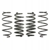 sprezyny-eibach-pro-kit-mcc-smart-fortwo-451