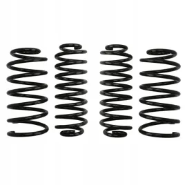 sprezyny-eibach-pro-kit-seat-leon-1m1