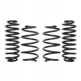 sprezyny-eibach-pro-kit-skoda-rapid-nh