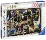harry-potter-or-voldemort-or-puzzle-1000el-stan-nowy