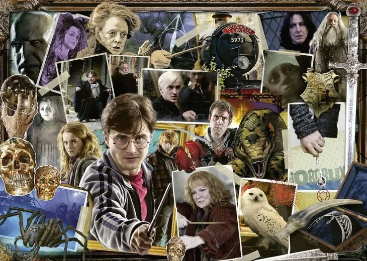 harry-potter-or-voldemort-or-puzzle-1000el-kolekcja-harry-potter