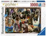 harry-potter-or-voldemort-or-puzzle-1000el-marka-ravensburger