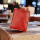 etui-na-karty-czerwone-rovicky