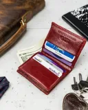 etui-na-karty-czerwone-rovicky-kolor-czerwony