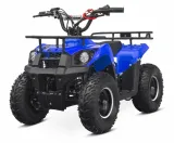 mini-quad-m9-6-50cc-yd-pull-start