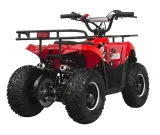 mini-quad-m9-6-50cc-yd-pull-start
