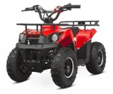 mini-quad-m9-6-50cc-yd-e-start