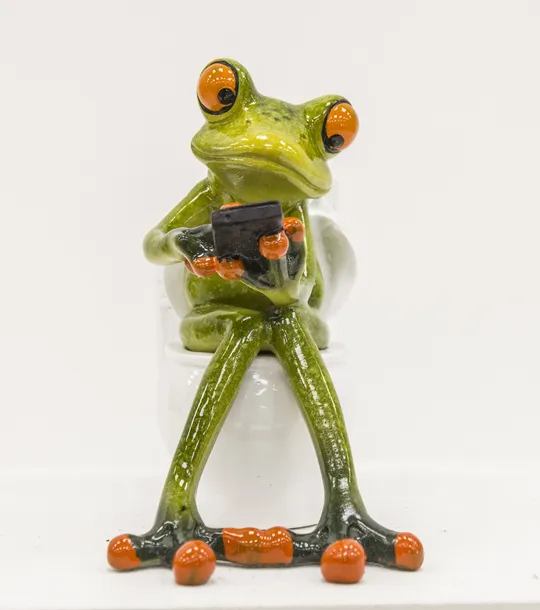 figurka-zaba