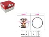 termostat-subaru-eps