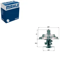 termostat-mahle