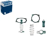 termostat-mahle-504071087