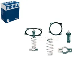 termostat-mahle-504071087