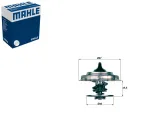 termostat-ford-iveco-mahle