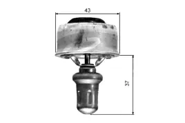 termostat-gates