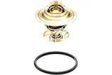 termostat-vw-75c-19d-td-topran