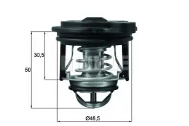 termostat-ford-behr