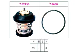 termostat-vag-eps
