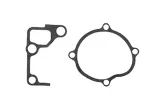 pompa-wody-metelli-rf5c15010a-rf2a15100a-rf2a15100