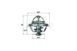 termostat-bmw-behr