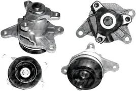 pompa-wody-renault-dolz