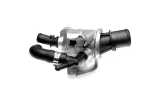 termostat-fiat-gates