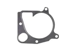 pompa-wody-bmw-m57d30-29d-e39-graf