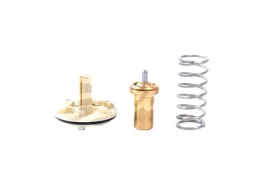 termostat-vw-gates