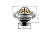 termostat-audi-vw-gates