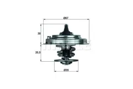 termostat-vw-behr