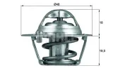 termostat-ford-behr