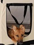 dibea-transporter-nosidelko-torba-dla-psa-xl