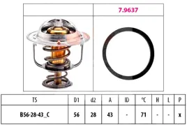 termostat-renault-71c-master-eps